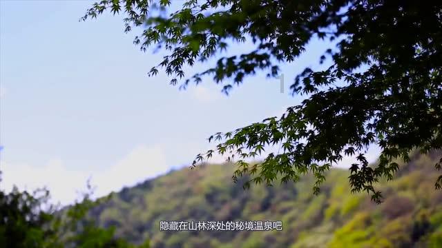 风暴英雄